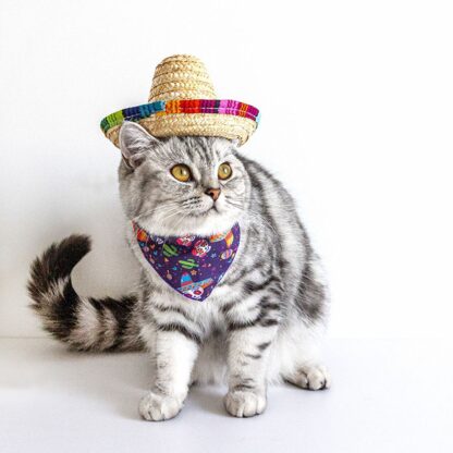 Mini Mexican Sombrero Hat - Image 2