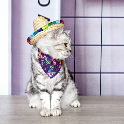 Mini Mexican Sombrero Hat - Image 3