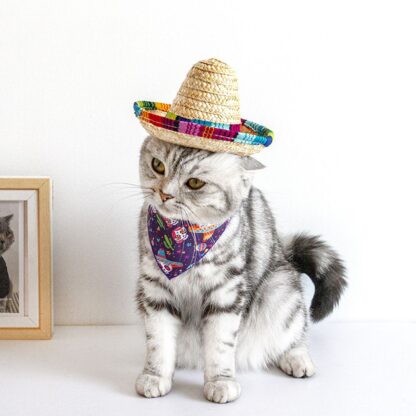 Mini Mexican Sombrero Hat