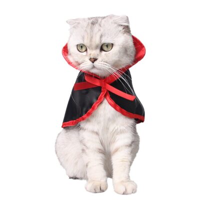 Halloween Cat Costume - Image 2