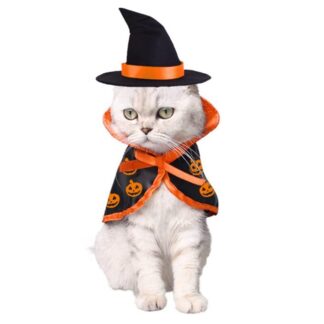 Halloween Cat Costume
