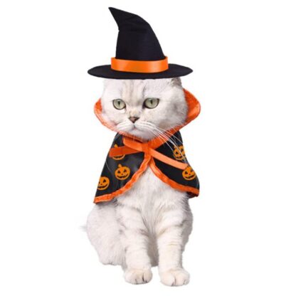Halloween Cat Costume