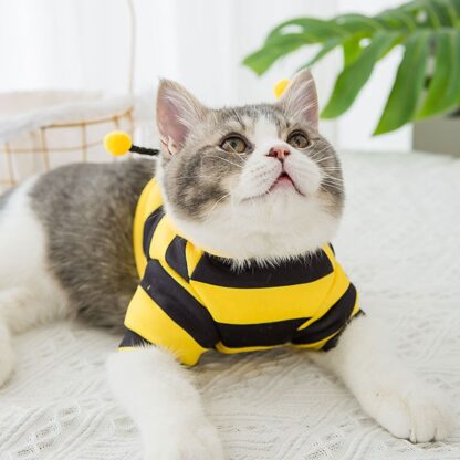 Bee Cat Costume - Image 2