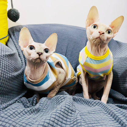Sphynx Cat Shirt - Image 6