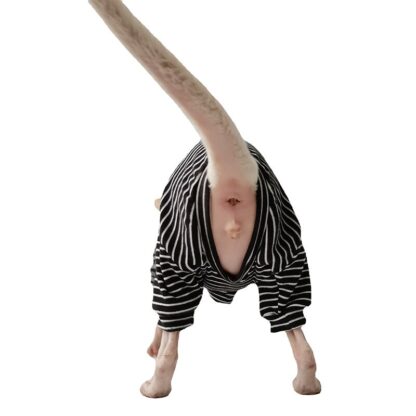 Hairless Cat Winter Clothes - Image 3