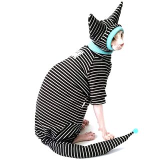 Hairless Cat Winter Clothes