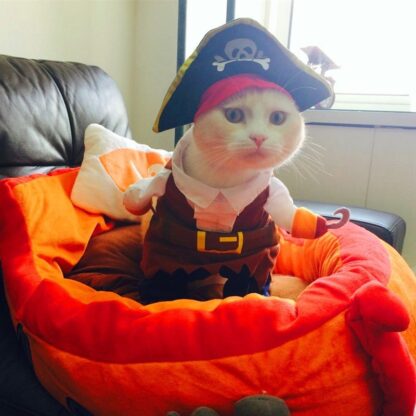 Pirate Suit Cat Clothes - Image 3