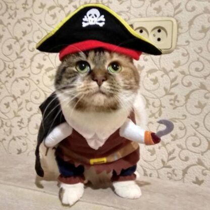 Pirate Suit Cat Clothes - Image 4