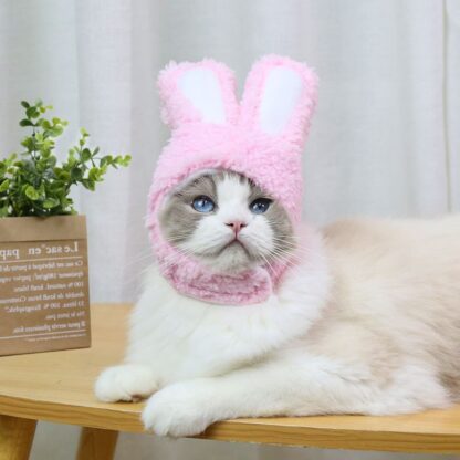 Cats Head Gear - Image 2