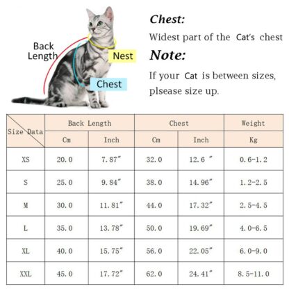 Handsome Cat Tuxedo - Image 2