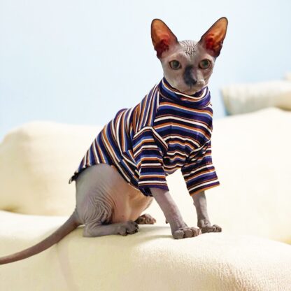 Hairless Cat Winter Sweater