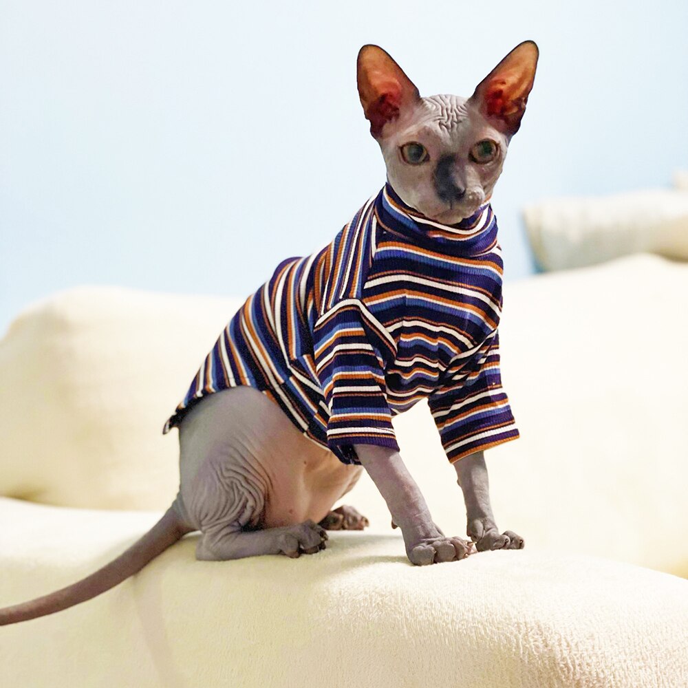 Cat Sweater and Hat Set Sphynx Cat Jumpsuit Hairless Cat 