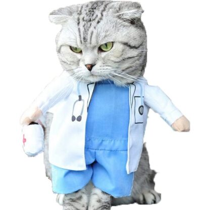 Halloween Cat Costume with Hat - Image 3