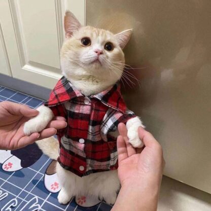 Plaid Cat Jacket - Image 2