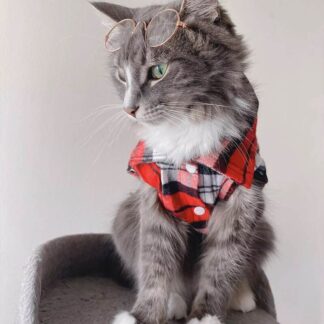 Plaid Cat Jacket