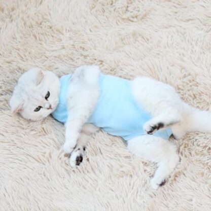 Cute Colorful Pajamas - Image 4