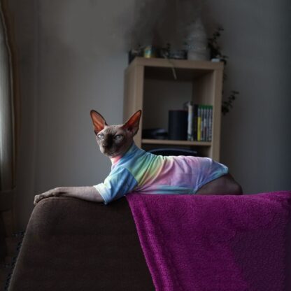 Colorful Hairless Cat Shirt - Image 2