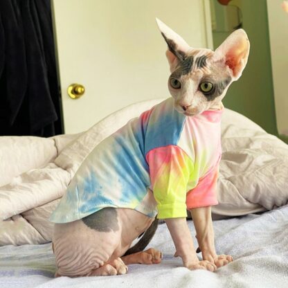 Colorful Hairless Cat Shirt - Image 5