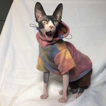 Sweater for Hairless Cats