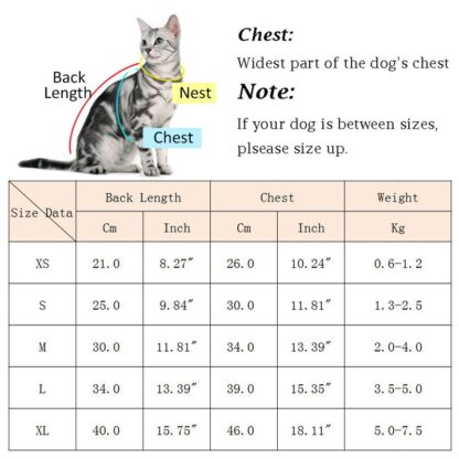 Sweet Stripe Cat Shirt - Image 2