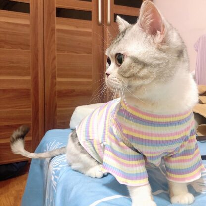 Sweet Stripe Cat Shirt - Image 3