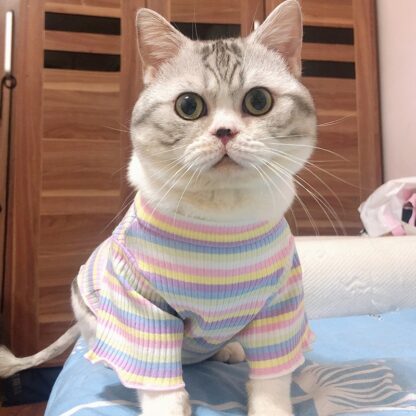 Sweet Stripe Cat Shirt - Image 4