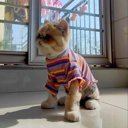 Sweet Stripe Cat Shirt - Image 5