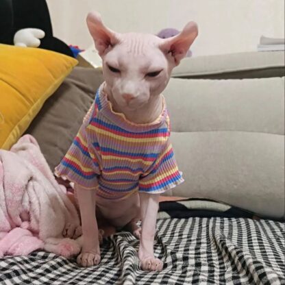 Sweet Stripe Cat Shirt