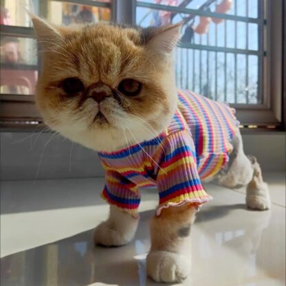 Sweet Stripe Cat Shirt - Image 6
