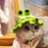 frog
