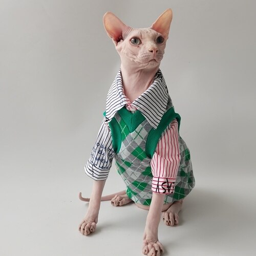 Winter Hairless Cat Sweater