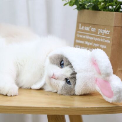 Cute and Warm Rabbit Costume for Cats - Image 2