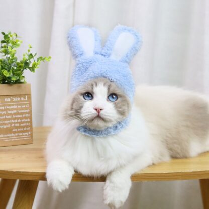 Cute and Warm Rabbit Costume for Cats - Image 3