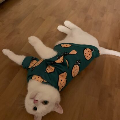 Soft and Cozy Cat Sweater - Image 4
