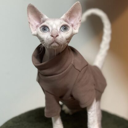 Sphynx Leopard Cat Clothes - Image 5