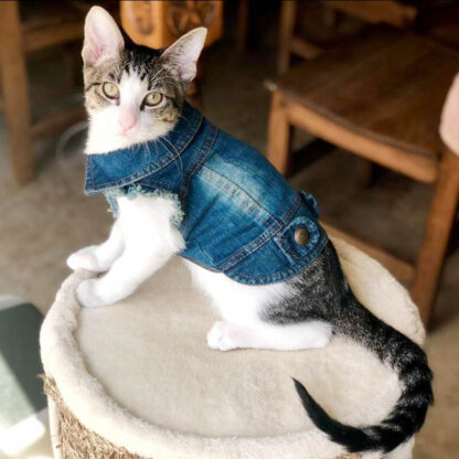 Stylish Denim Jacket for Cats - Image 2
