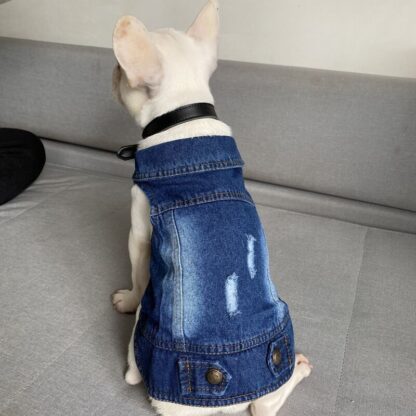 Stylish Denim Jacket for Cats - Image 3