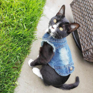 Stylish Denim Jacket for Cats
