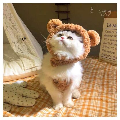 Cute Bear Ears Cat Cap - Image 2