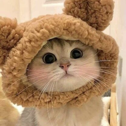 Cute Bear Ears Cat Cap