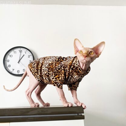 Sphynx Leopard Cat Clothes