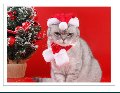 Fun and Adorable Christmas Set - Image 4