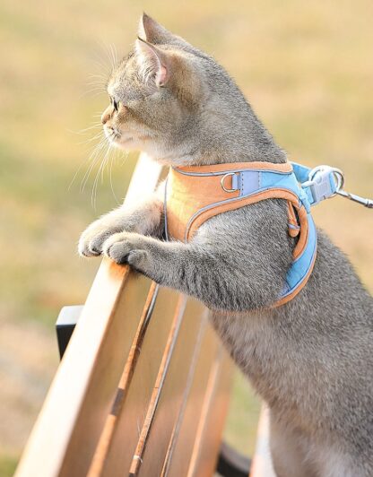 Waterproof Cat Vest with Leash - Image 3