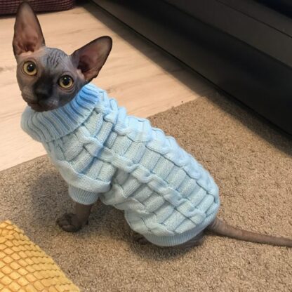 Stylish and Snug Sweaters for Cats