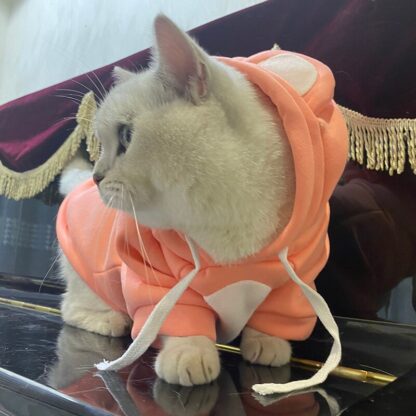 Fun and Fashionable Sweater - Image 2