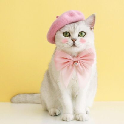 Lovely Pet Hat Party Dressing Supplies - Image 5