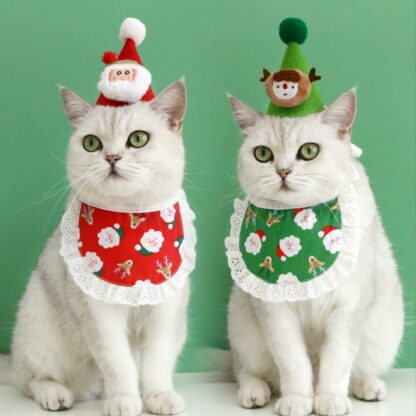 Cat Christmas Hats and Scarves