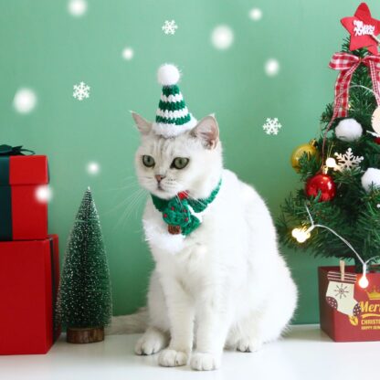 Cat Santa Costume - Image 2