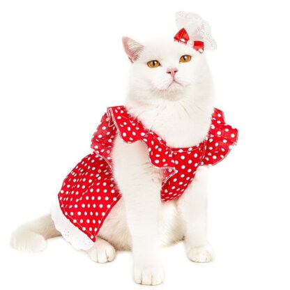 Cute Summer Dress for Cats - Image 4