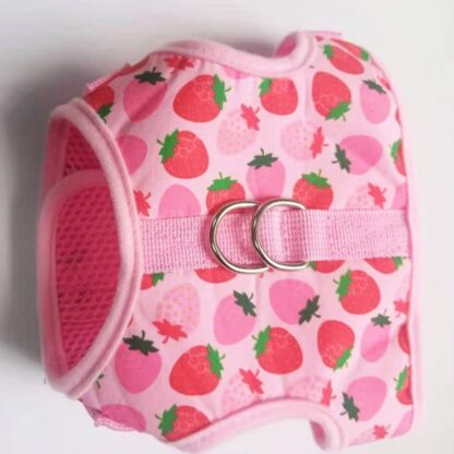 Cat Harness And Leash for Walking - Image 4